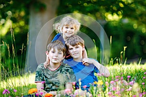 Portrait of three siblings children. Two kids brothers boys and little cute toddler sister girl having fun together on