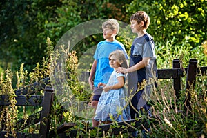 Portrait of three siblings children. Two kids brothers boys and little cute toddler sister girl having fun together on