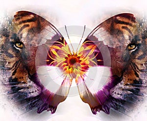 Portrait tiger and butterfly. computer collage