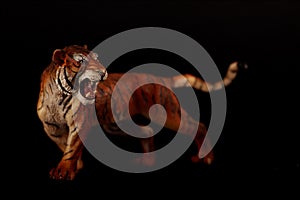 Portrait of tiger isolated on black background. environment concept. Horizontal image