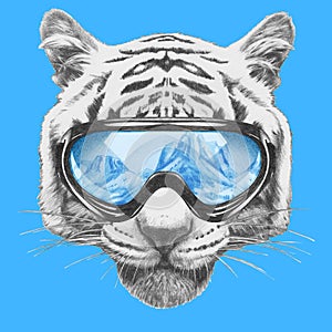 Portrait of Tiger with ski goggles.