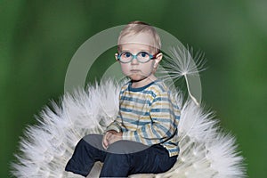 Portrait of a toddler on a dandelion background.