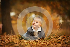 Portrait of toddler little blond boy creeping at the autumn park. Copy space