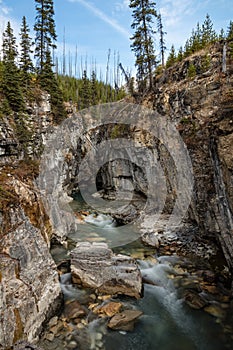 Portrait of Tokuum Creek in the Canadian Rockies