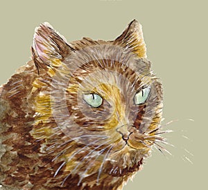 Portrait of tortie cat with green eyes. Pet head. Hand drawn watercolor illustration