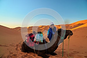 Portrait of a tourist girl and a camel in the Sahara desert