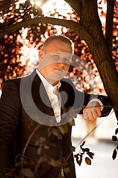Portrait of tout man in suit posing under tree at park
