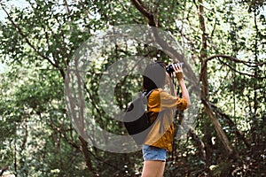 Portrait of travel young asian woman using binoculars in forest,Enjoying with bird watching