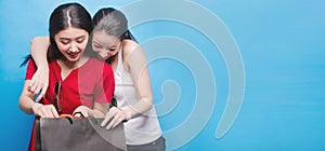 Portrait of two beautiful asian smiling young women with shopping concept. Woman holding shopping bag with attractive smiling.