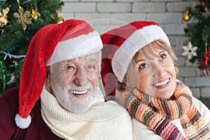 Portrait of two cheerful lovely sweet tender cute romantic married senior couple husband and wife in Santa hat celebrate Christmas