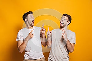 Portrait of a two excited young men best friends pointing