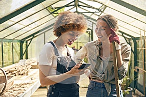 Portrait Of Two Female Friends Working In Greenhouse At Home Looking At Mobile Phone Together