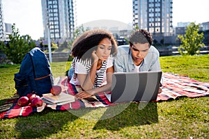 Portrait of two focused groupmates lying blanket use netbook prepare university test fresh air outdoors