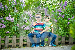 Portrait of two little brothers sitting on small fence in bushes