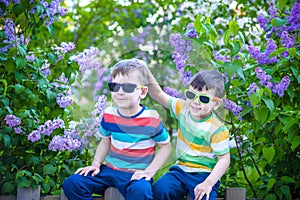 Portrait of two little brothers sitting on small fence in bushes