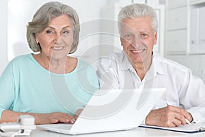 portrait of two old people working with a laptop in the office