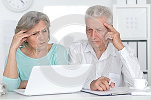 portrait of two old people working with a laptop in the office