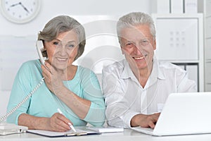 portrait of two old people working with a laptop in the office