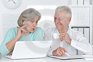 portrait of two old people working with a laptop in the office