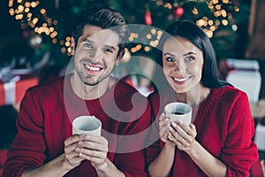 Portrait of two peaceful people having fun enjoying christmas vacation holding mug sit under evergreen fir tree with x