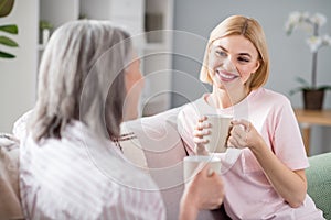 Portrait of two positive ladies sit on sofa hold coffee look each other speak communicate free time indoors