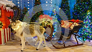 Two reindeers at the reign of Santa Claus with sled and christmas trees photo
