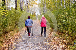 Senior ladies nordic walking