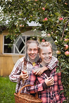 Portrait of two teenage girls picking apples in   garden in   village