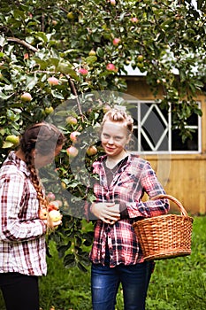Portrait of two twin sisters in apple orchard with basket