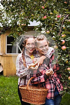 Portrait of two twin sisters in apple orchard with basket