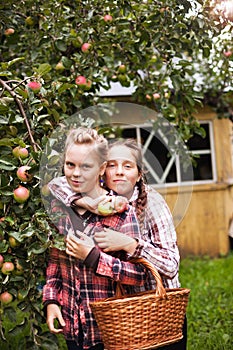 Portrait of two twin sisters in apple orchard with basket