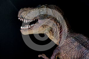 Portrait of a Tyrannosaurus rex on black background