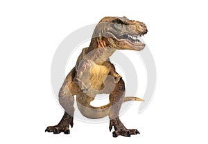 A portrait of a Tyrannosaurus rex on white background