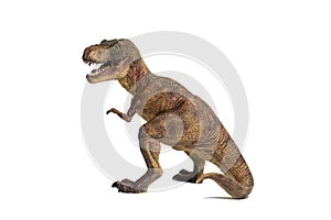 A portrait of a Tyrannosaurus rex on white background
