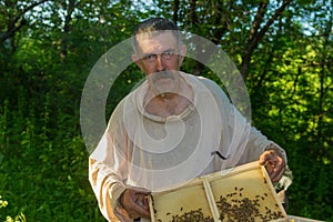 Portrait of Ukrainian peasant taking frame with bees while hard working in own bee yard
