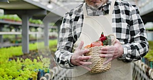 Portrait of unrecognizable senior Caucasian man holding basket with organic vegetables. Mature gardener posing with