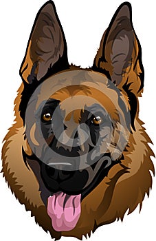 Portrait of a vector German Shepherd lines