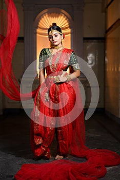 Portrait of very beautiful young Indian lady in luxurious costume with makeup and heavy jewellery posing fashionable in front of a