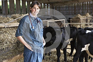 Portrait Of Vet In Barn With Cattle
