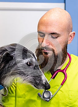 Portrait of a veterinarian and a greyhound