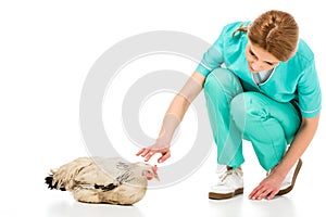 portrait of veterinarian in uniform with chicken