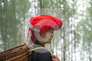 Portrait of Vietnamese ethnic minority Red Dao women in traditional dress and basket on back in misty bamboo forest in Lao Cai,