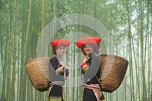 Portrait of Vietnamese ethnic minority Red Dao women in traditional dress and basket on back in misty bamboo forest in Lao Cai,