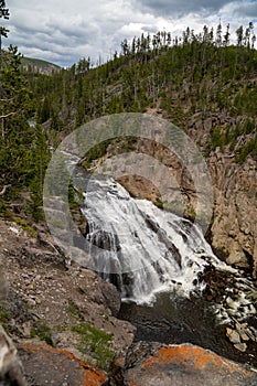 Portrait view of Gibbon Falls, a roadside waterfall in Yellowstone National Park Wyoming