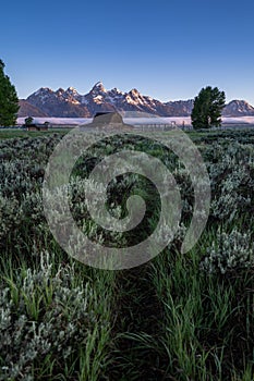 Portrait view of the John Moulton Barn on Mormon Row in Grand Teton National Park. Sunrise