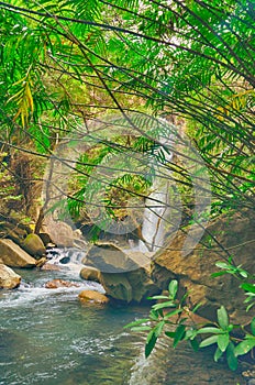 Portrait view looking through tree branches at a waterfall