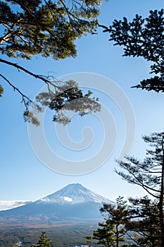 Portrait view of Mount Fuji in the late afternoon from Kawaguchiko Ropeway trails in autumn.