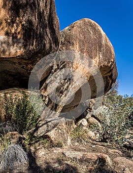 Portrait view of Portrait view of `Hippo`s Yawn`  - Wave Rock, Western Australia