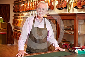 Portrait Of Violin Maker In Shop