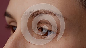 Portrait vision, macro shot of attractive caucasian woman model face part. Closeup of female open eyes, with brown iris